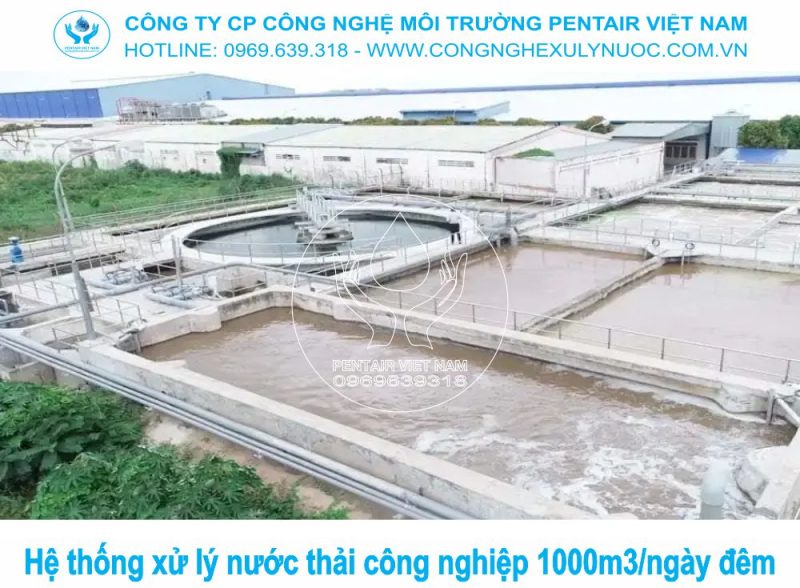 Cận cảnh quá trình xây dựng bể lắng trong quy trình xử lý nước thải 1000m3 đạt chuẩn cột A