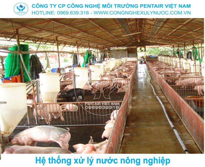 Hệ thống lọc nước cấp tổng cho nông nghiệp xử lý nước giếng khoan tưới tiêu