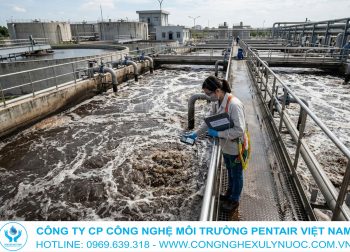 Hình ảnh kỹ thuật viên đang thực hiện quy trình nuôi cấy vi sinh tại bể Aerotank của hệ thống xử lý nước thải công nghiệp.