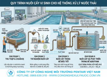 Hình ảnh kỹ thuật viên đang thực hiện quy trình nuôi cấy vi sinh tại bể Aerotank của hệ thống xử lý nước thải công nghiệp.