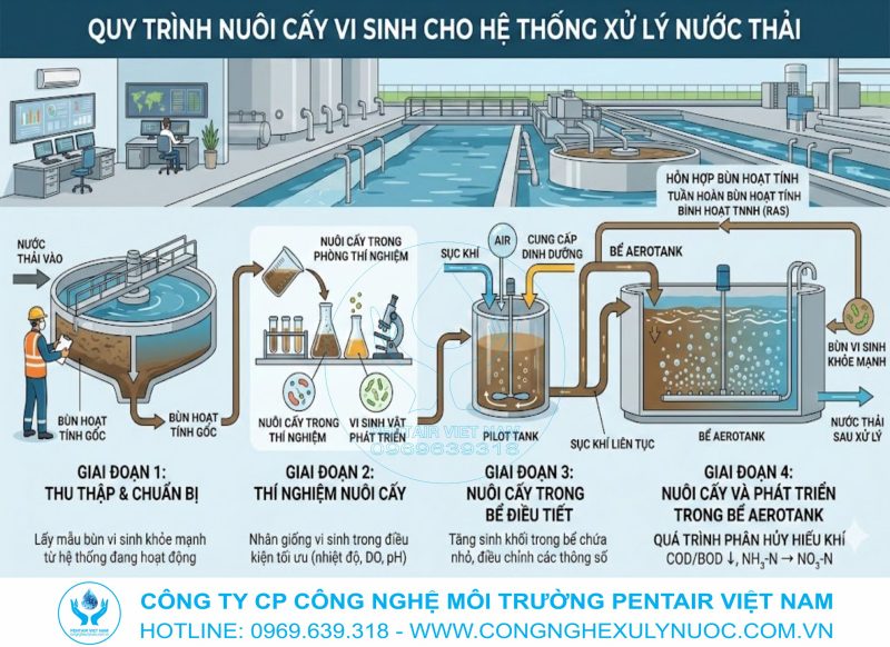 Hình ảnh kỹ thuật viên đang thực hiện quy trình nuôi cấy vi sinh tại bể Aerotank của hệ thống xử lý nước thải công nghiệp.