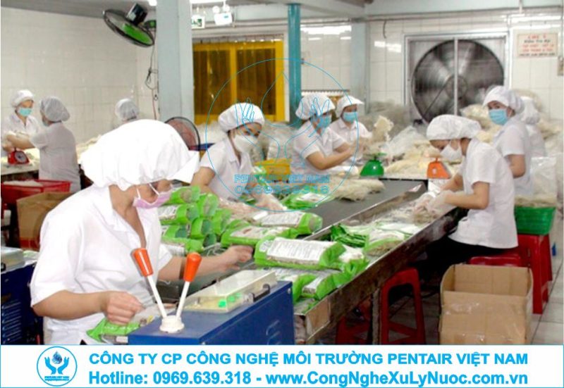 Hệ thống xử lý nước thải nhà máy sản xuất bún tươi và tinh bột gạo với công nghệ sinh học hiện đại.