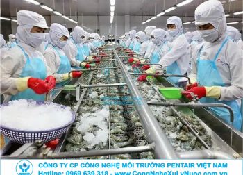 Hệ thống xử lý nước thải công nghiệp cho nhà máy chế biến thủy sản với công nghệ tách mỡ DAF hiện đại.