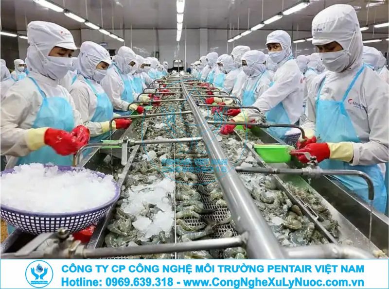 Hệ thống xử lý nước thải công nghiệp cho nhà máy chế biến thủy sản với công nghệ tách mỡ DAF hiện đại.