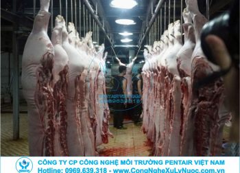 Trạm xử lý nước thải lò mổ gia súc áp dụng công nghệ tách mỡ và xử lý sinh học MBBR