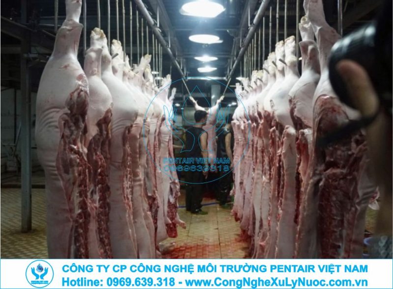 Trạm xử lý nước thải lò mổ gia súc áp dụng công nghệ tách mỡ và xử lý sinh học MBBR