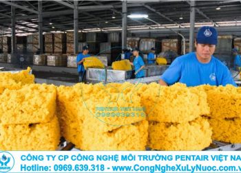 Hệ thống xử lý nước thải chuyên nghiệp cho nhà máy sản xuất và chế biến cao su do Pentair Việt Nam lắp đặt.