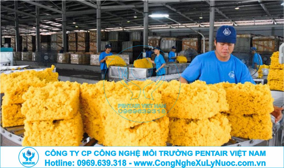 Hệ thống xử lý nước thải chuyên nghiệp cho nhà máy sản xuất và chế biến cao su do Pentair Việt Nam lắp đặt.