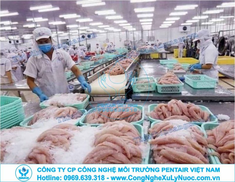 Hệ thống xử lý nước thải nhà máy chế biến cá với công nghệ tách mỡ DAF và xử lý sinh học.