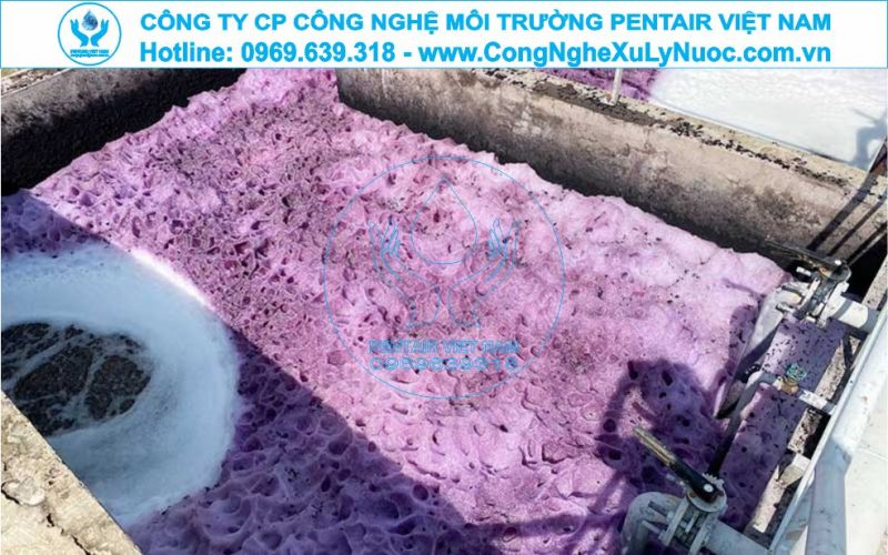 Hệ thống xử lý nước thải dệt nhuộm tích hợp công nghệ khử màu Fenton và MBR của Pentair Việt Nam.