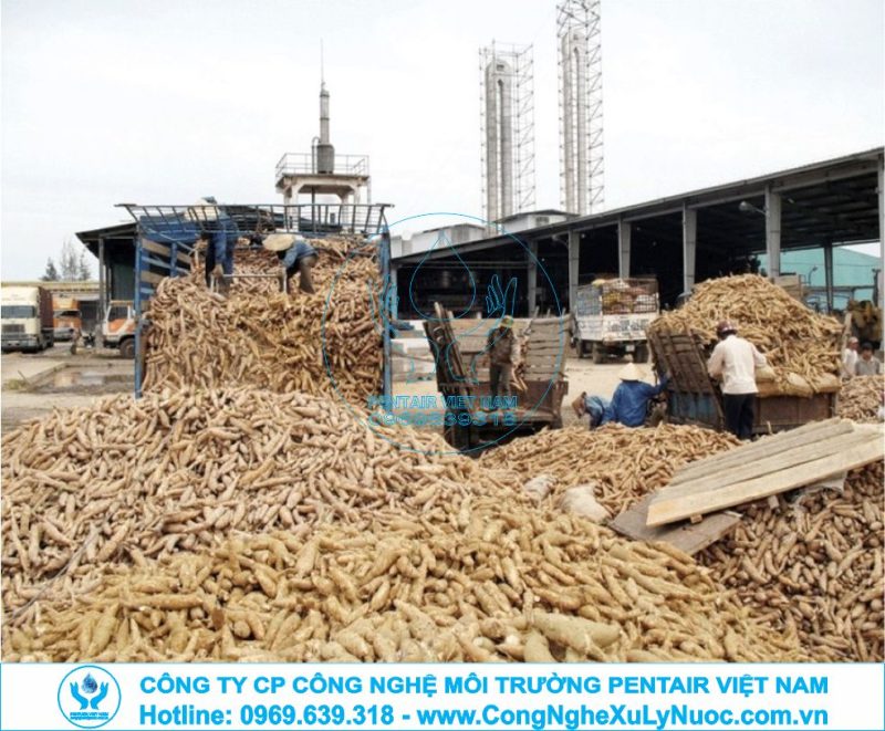 Hệ thống xử lý nước thải nhà máy sản xuất tinh bột với bể phản ứng kỵ khí hiện đại.